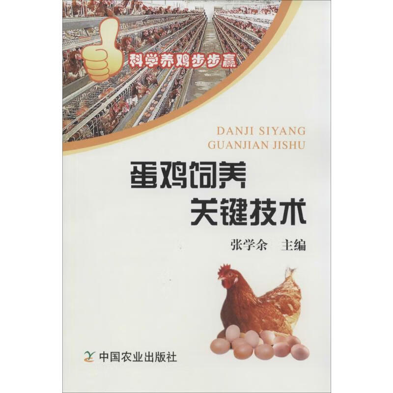 蛋鸡饲养关键技术