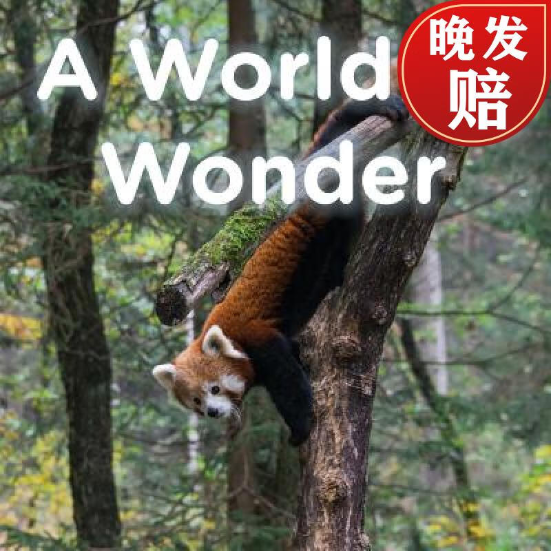 【4周达】a world of wonder