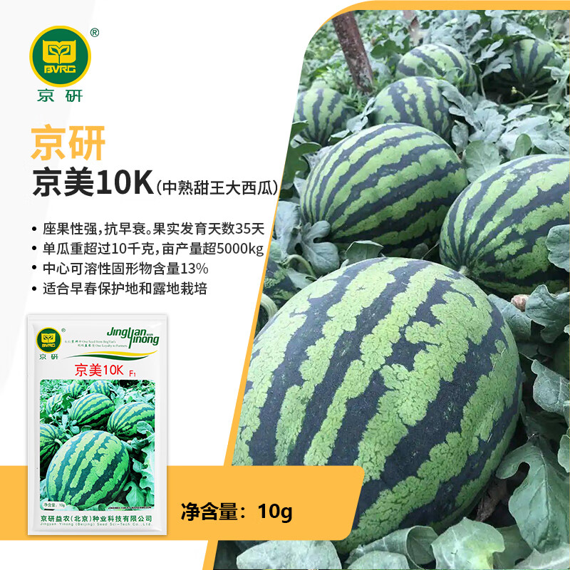 京研西瓜种子京美甜王大西瓜种孑大红瓤超甜薄皮小西瓜农科院瓜种籽孑
