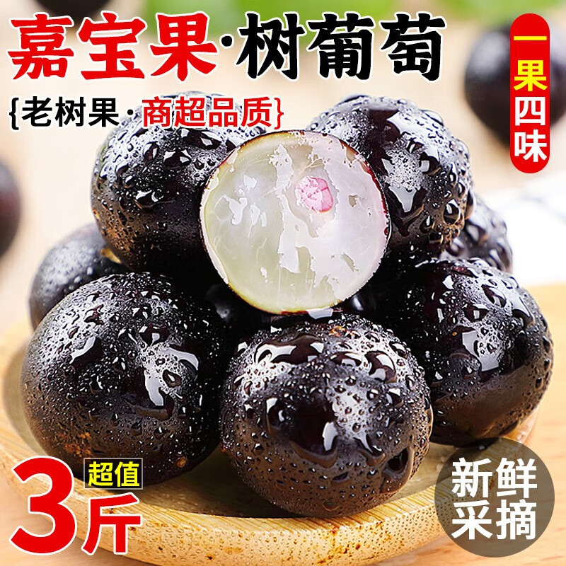 【现摘顺丰】新鲜树葡萄嘉宝果加宝果应季孕妇老人高端水果 2斤