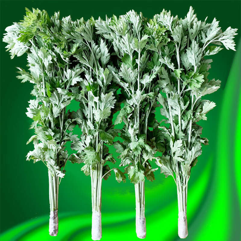 花郡城新鲜艾草大叶端午节挂门窗泡脚泡澡驱蚊现剪整颗带叶带杆不带根