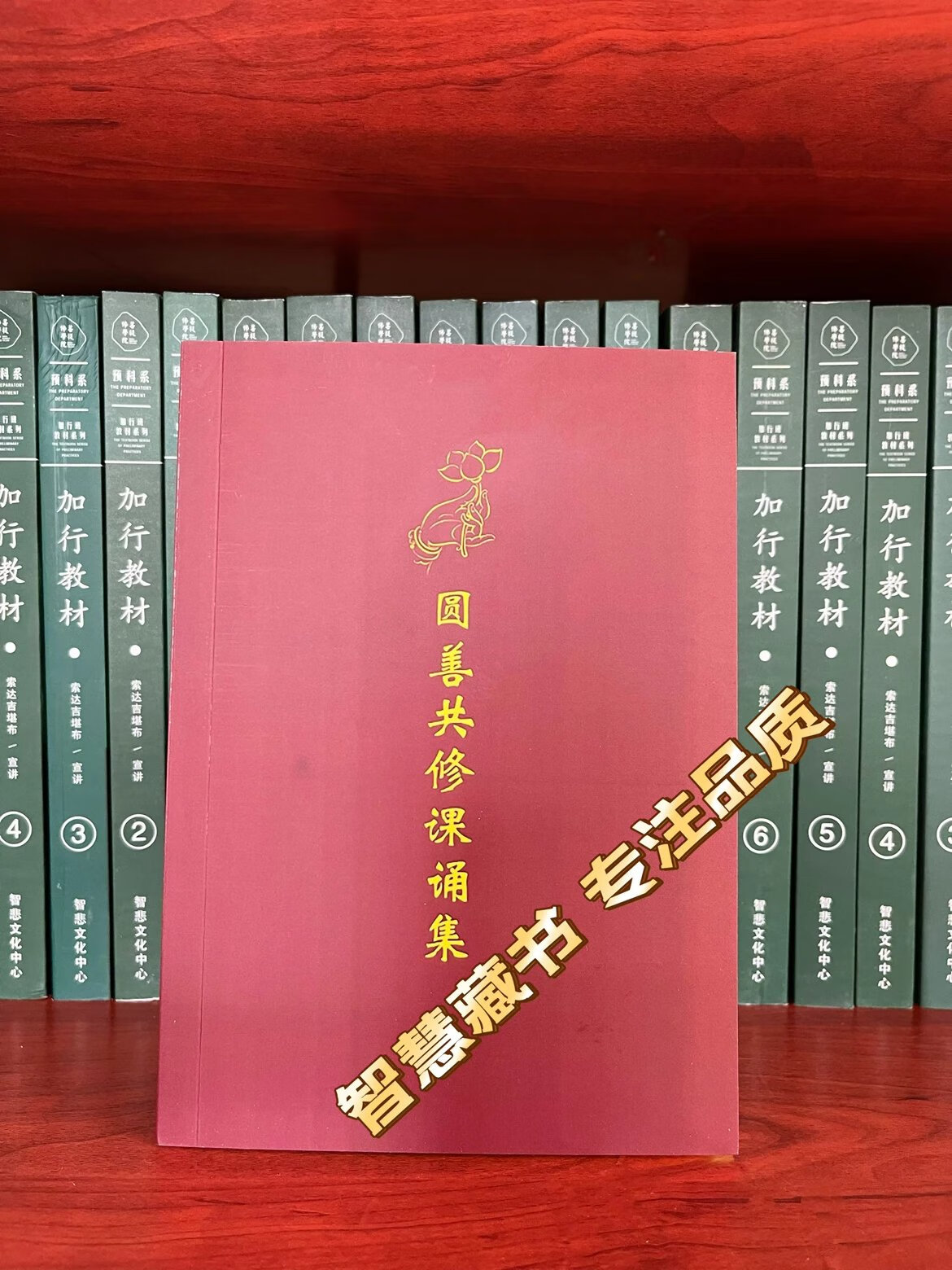 【新书】 圆善课诵集