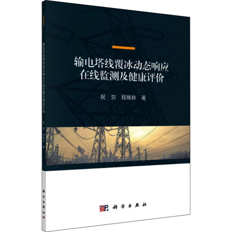 输电塔线覆冰动态响应在线监测及健康评价