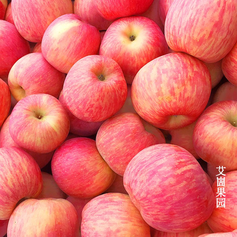 【烟台红富士】新早期红富士红将军苹果水果80大果脆甜多汁4.5到5斤