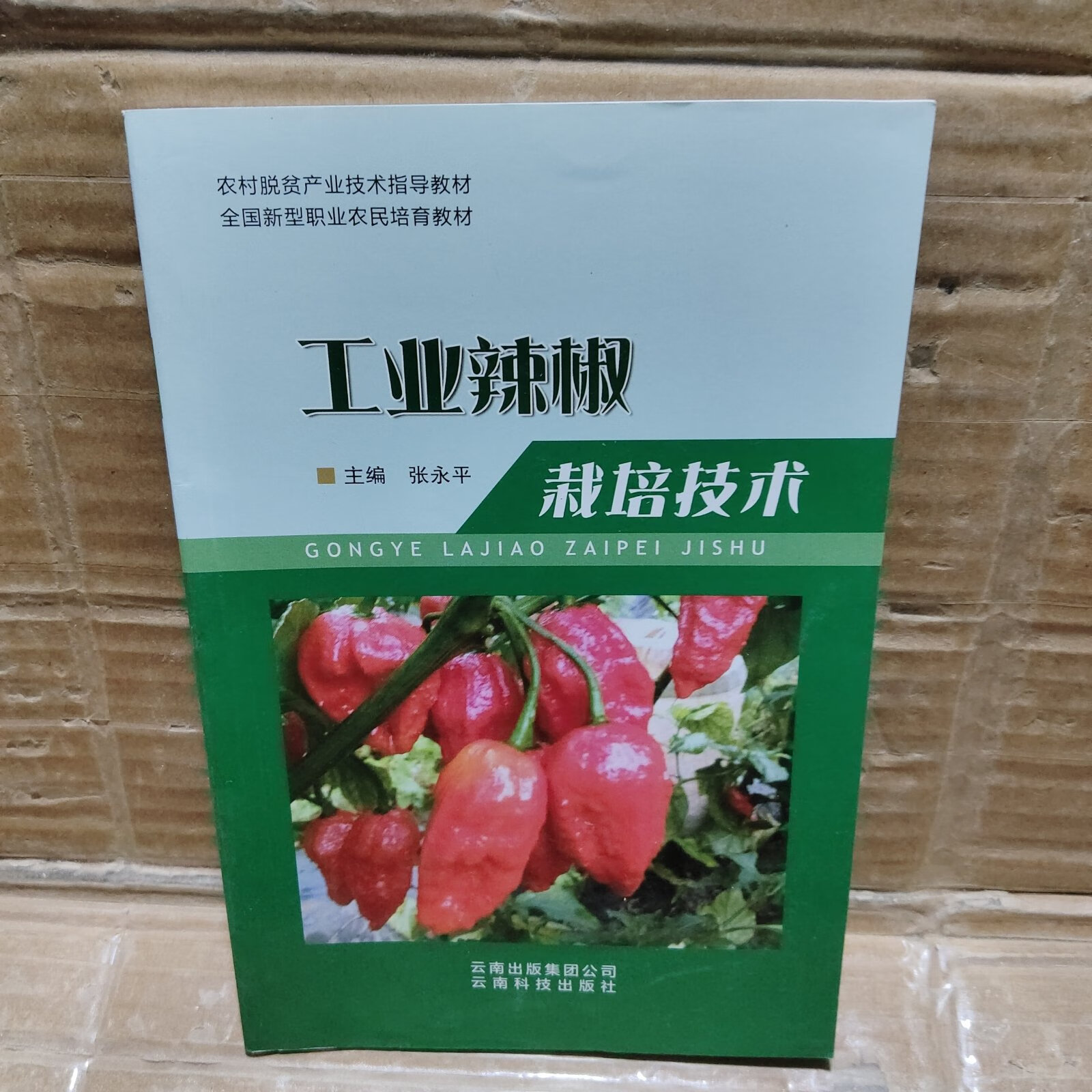 工业辣椒的种植前景(工业辣椒的用途和种植)