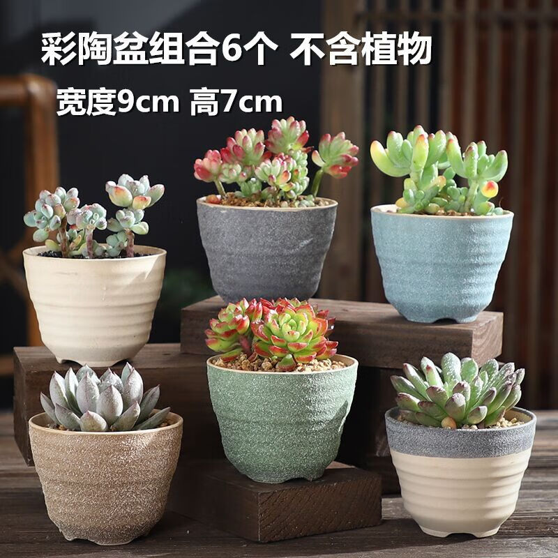 创意家居花盆粗陶透气大小口径套装组合创意日杂小件 彩陶盆组合6个