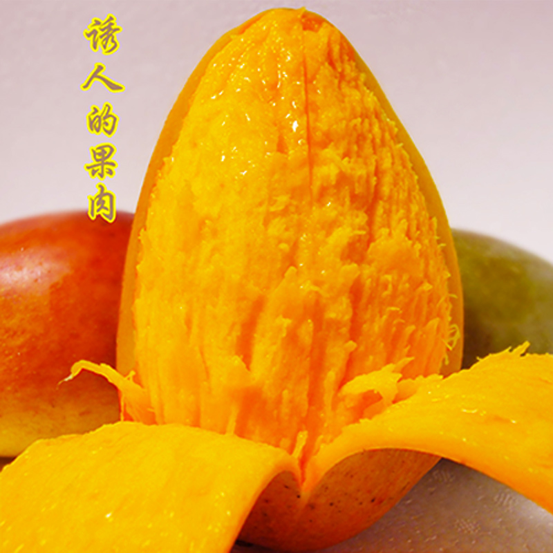 海南三亚贵妃芒果当季新鲜热带水果 树上熟红金龙芒果3/5/9斤整箱生鲜 5斤