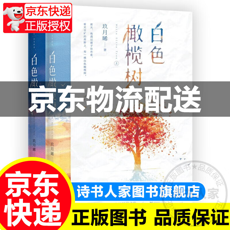 白色橄榄树（套装2册） 正版玖月晞全套2册少年的你如此美丽后青春言情小说书籍畅销书