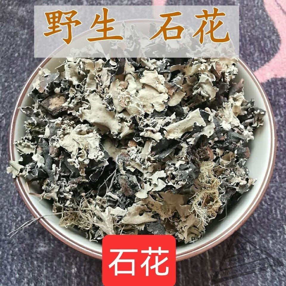 中草药石花图片图片