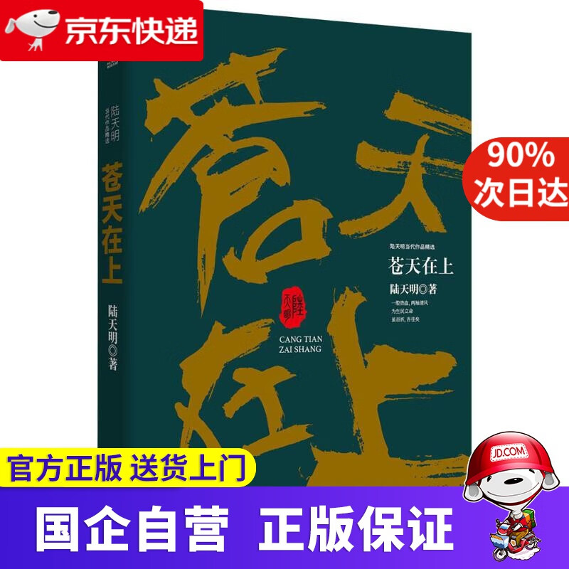 【正版新书】苍天在上 新华先锋 9787201133072