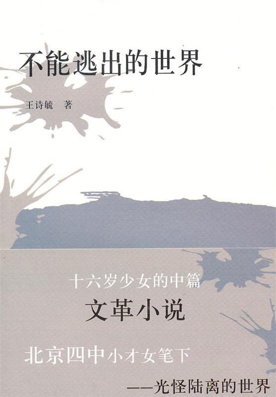 不能逃出的世界 王诗毓著【正版书】