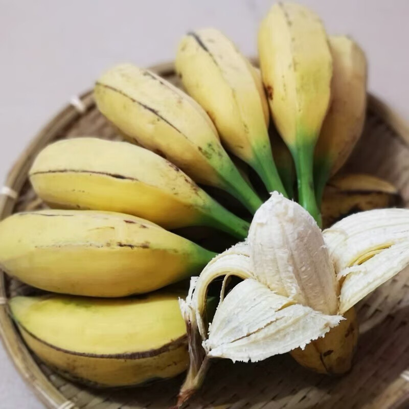 溪山鲜广西牛蕉芭蕉牛角大芭蕉农家自种应季水果新鲜整箱大蕉自然熟