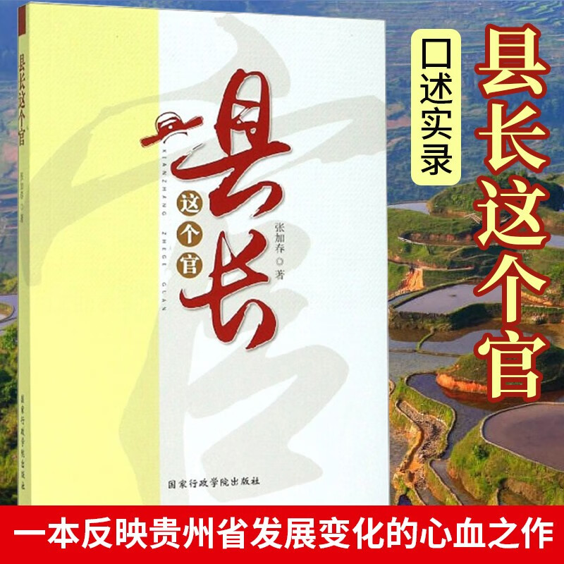 县长这个官 张加春著 *出版社 文学书籍