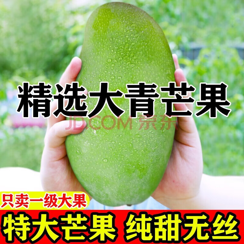 zoci广西大青芒果当季新鲜水果特大芒果9斤装 甄选大青芒9斤 净重8斤