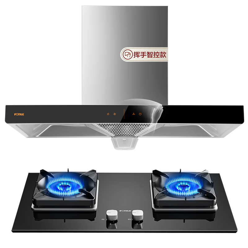 ��̫��FOTILE��ŷʽ���̻�ȼ������װ ���ֿ��� ����ʽ�������̻����ô����������װEH36H �������ס����̻�+5.0KW��Ȼ����TH32B 2508Ԫ(������)