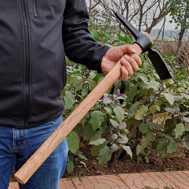 maria cher十字镐淬火锻造工矿采掘镐小锄头挖桩笋盆景工具洋鹤嘴锄 