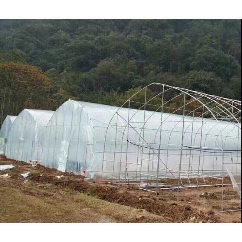 大厅 625/825型大棚骨架钢架蔬菜大棚热镀锌钢管养殖多肉温室花卉连栋