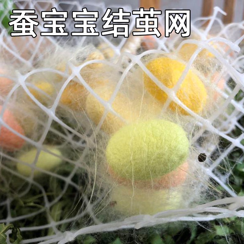 蚕菇凉蚕宝宝工具配件大全大小蚕喂养方便饲养盒养蚕指导 结茧网