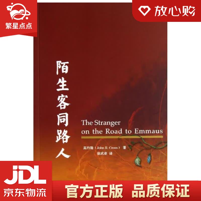 【新华书店正版图书】陌生客同路人 （加）高约翰著,徐武豪译 上海三联书店 正版图书