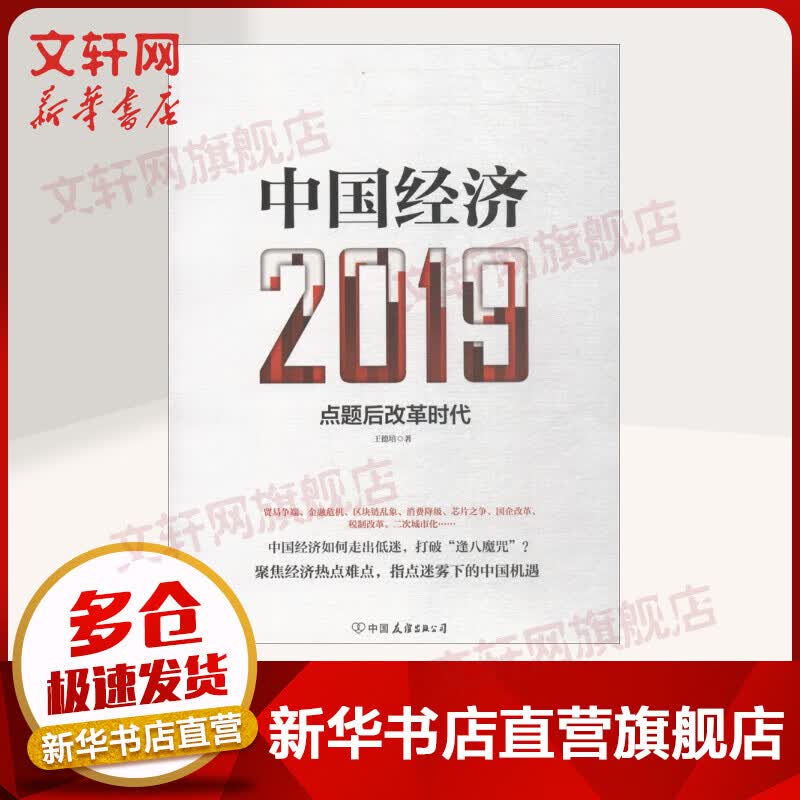 中国经济 2019