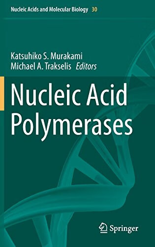 Nucleic Acid Polymer