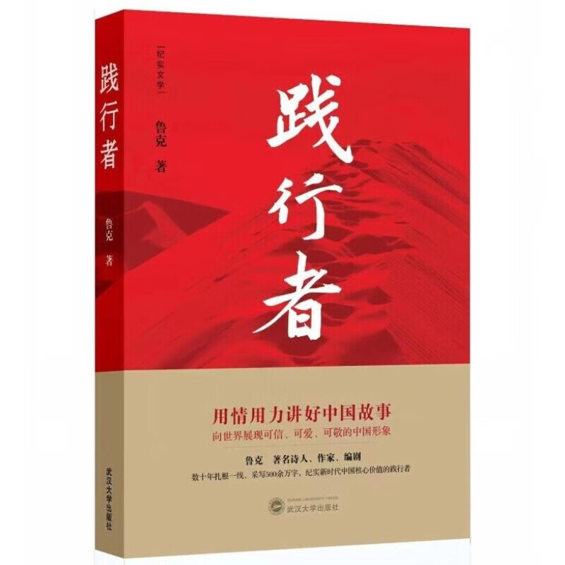 正版  践行者 用情用力讲好中国故事  武汉大学出版社