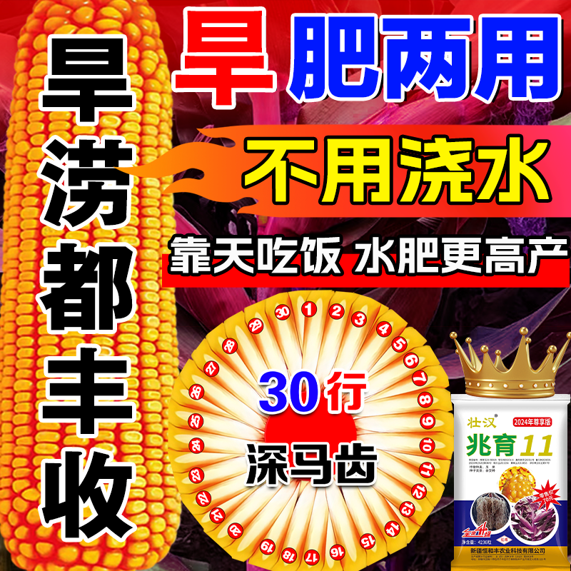 靠天吃饭款约4217粒抗旱王