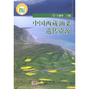 中国西藏油菜遗传资源 9787030234377