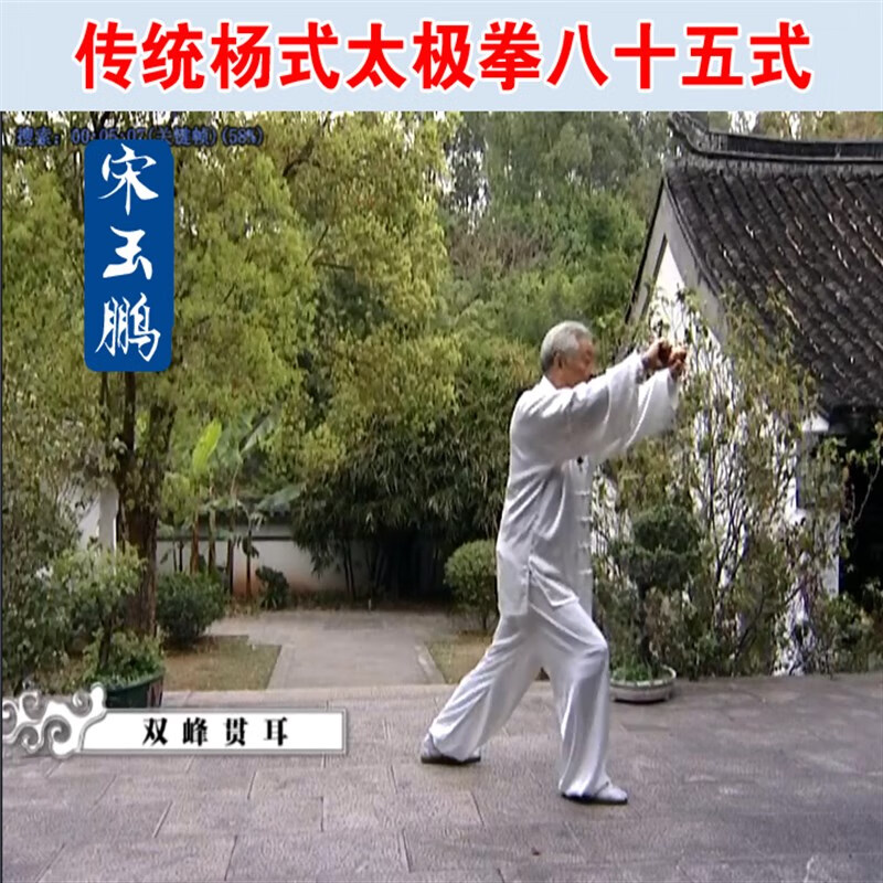 传统杨氏85式太极拳杨式八十五u盘视频教材dvd碟非网盘下载 dvd光盘版