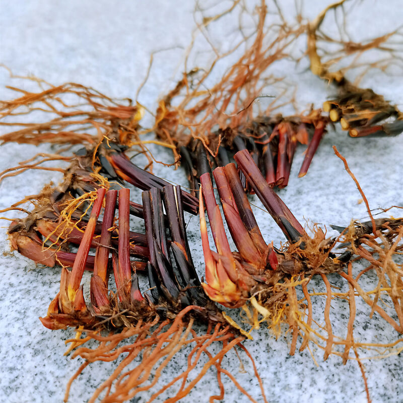 伟博止鼻血利尿席草根席草头草席根民间中草药新鲜晒干织席草根蔺草头