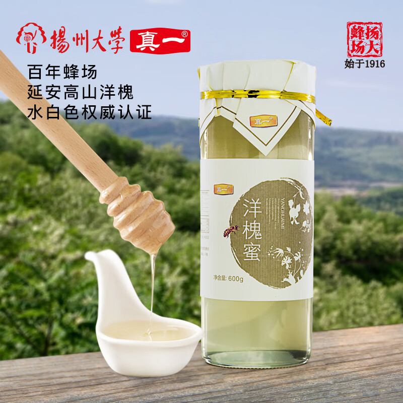 真一扬州大学槐花蜂蜜高山水白色纯正天然成熟洋槐蜜600g