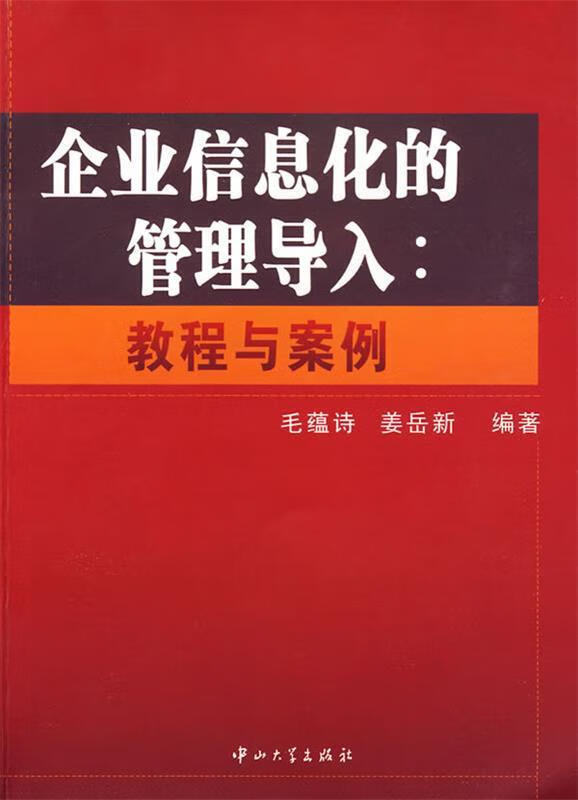 企业信息化的管理导入:教程与案例