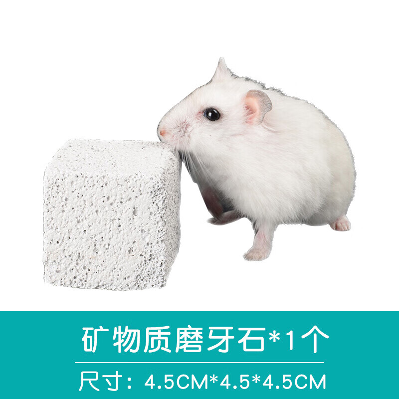 跑来跑去仓鼠磨牙石龙猫兔子荷兰鼠金丝熊磨牙石小宠小号高钙磨牙石