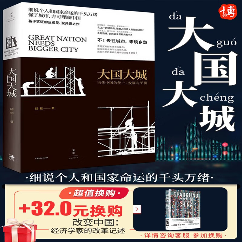 官方正版大国大城当代中国的统一发展与平衡 陆铭 当下中国发展困境