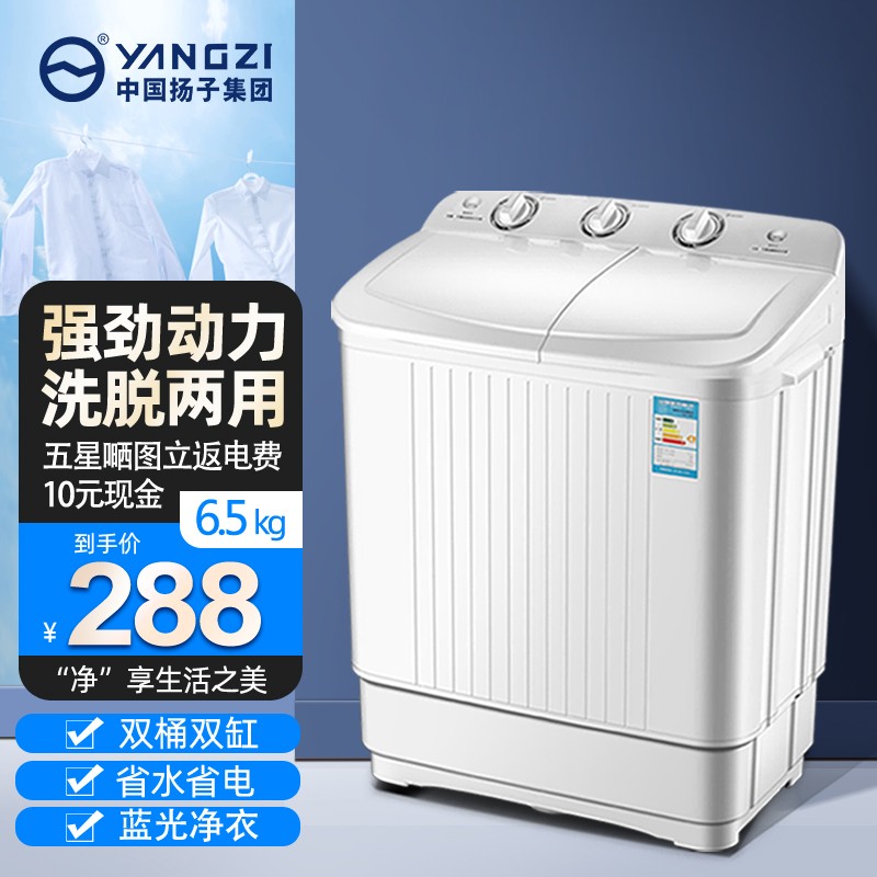 YANGZI扬子集团10公斤大容量双桶双缸波轮内衣儿童洗衣机半自动小型迷你甩干脱水家用宿舍出租房必备 6.5公斤 白色