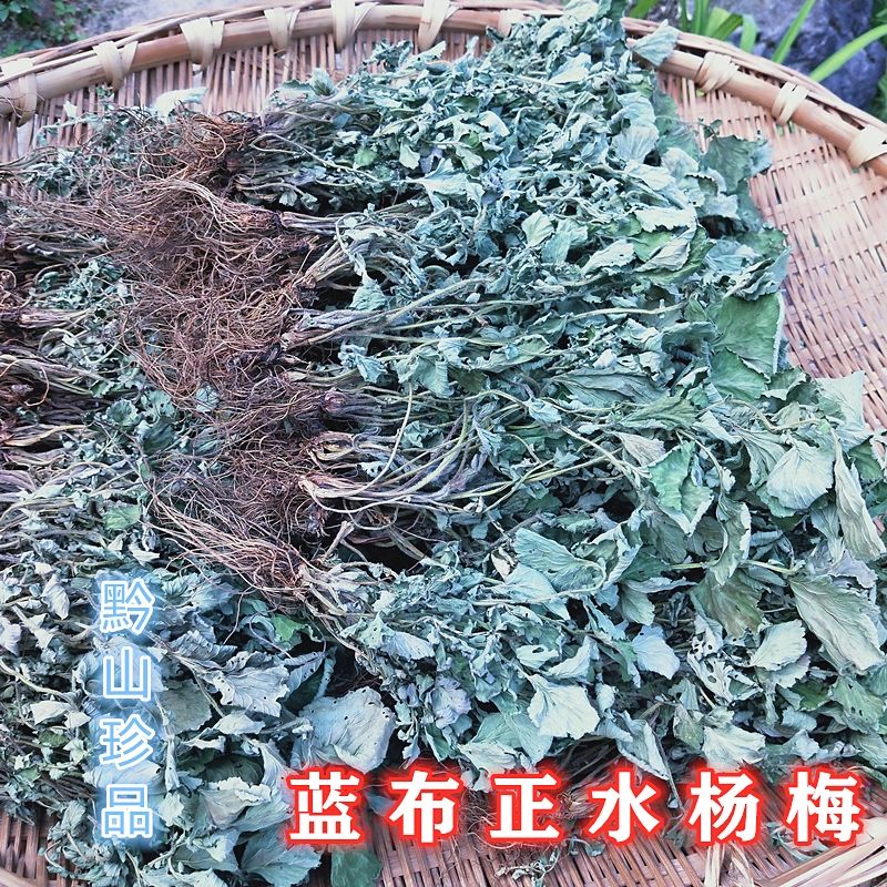 贵州野生蓝布正中草药材水杨梅路边青兰布阵晒干500g南布正 500.00g