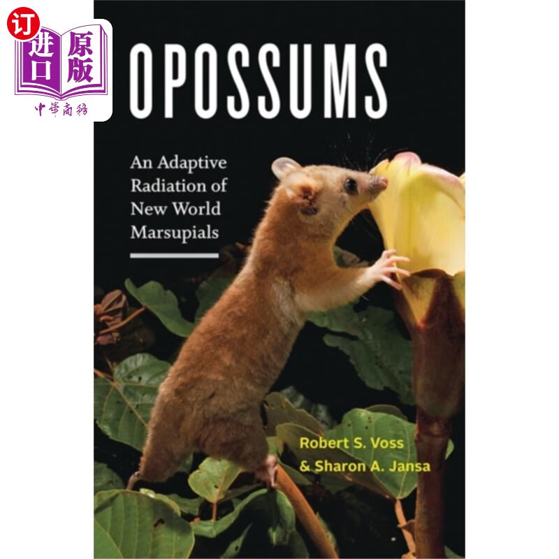 海外直订opossums 负鼠