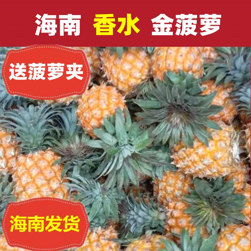 (海南发货)海南三亚小菠萝新鲜孕妇应季水果一整箱金钻凤梨迷你香水