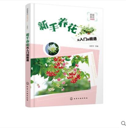 新手养花从入门到精通