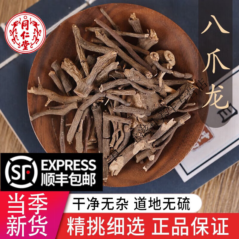 北京同仁堂中药材特级野生百两金 特级新货八爪龙 蛇连天 八爪金龙