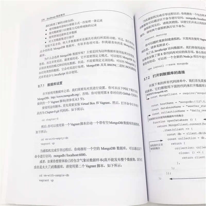 JavaScript数据整理/大数据应用与技术丛书