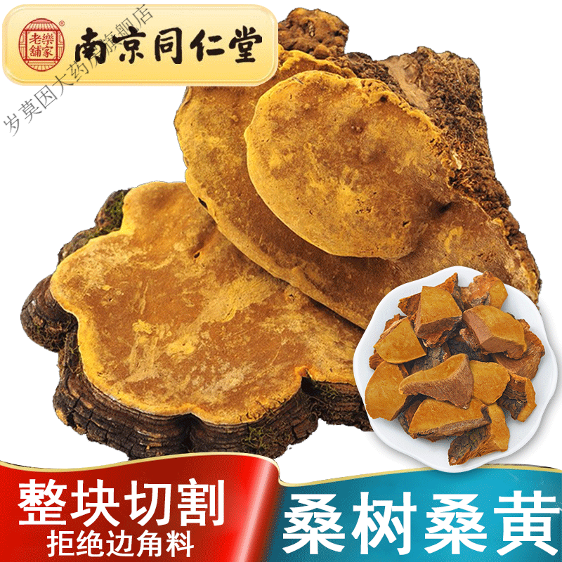 桑黄正宗西藏桑黄可配灵芝整枝桑黄菌包桑黄 125g