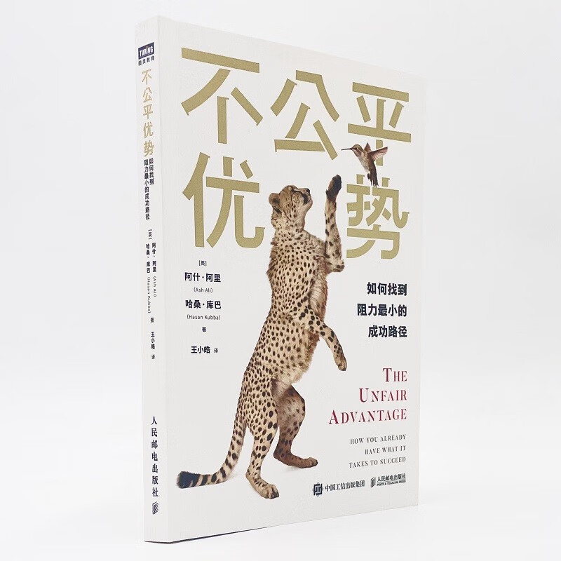 不公平优势：如何找到阻力最小的成功路径（图灵出品）详情图