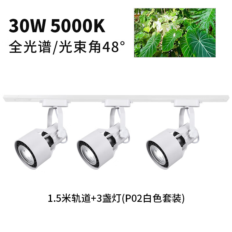 光联天下光联天下30W植物生长灯LED轨道射灯全光谱自然光绿植景观墙补光灯 全光谱5000K-48°/1.5米+3白色灯 P02/30W
