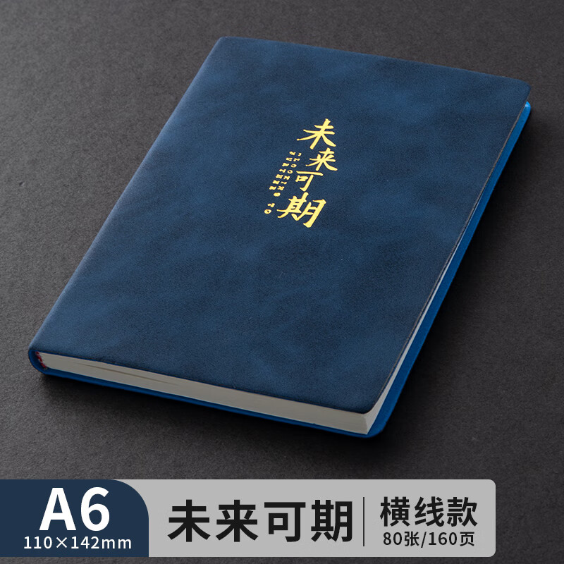 肤感烫金皮面笔记本子羊巴皮记事本软皮商务办公会议记录本皮面本b5加厚工作笔记本复古皮面简约随身日记本 【A6/80张】1本装/未来可期