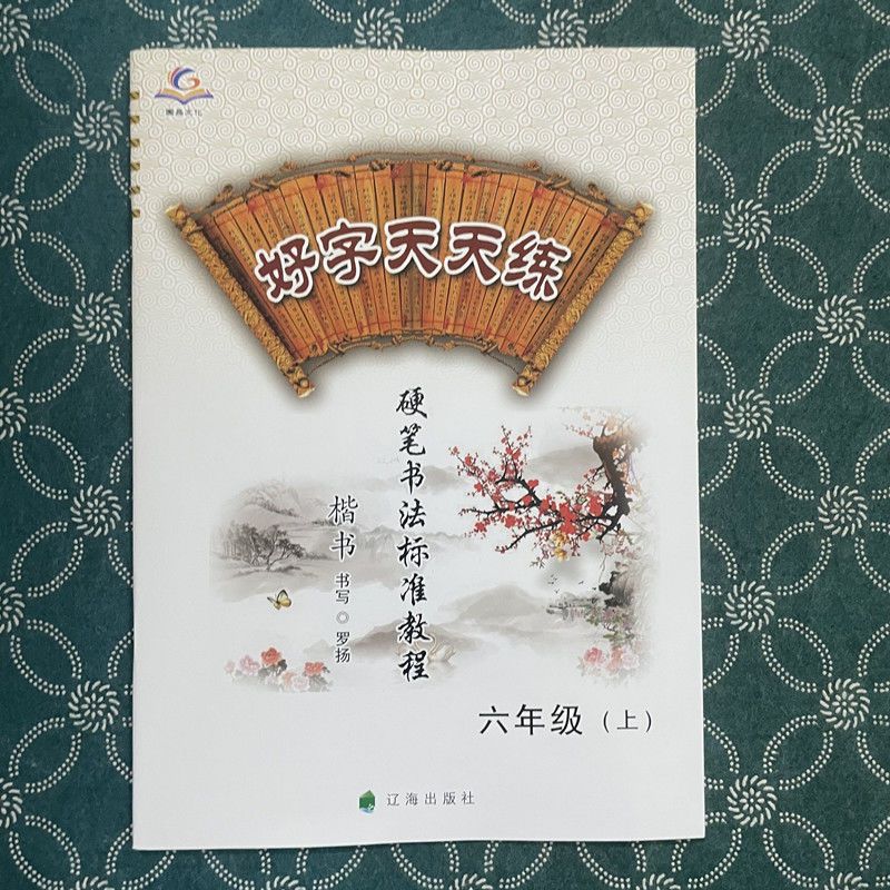 好字天天练 硬笔 六年级上册 人教版