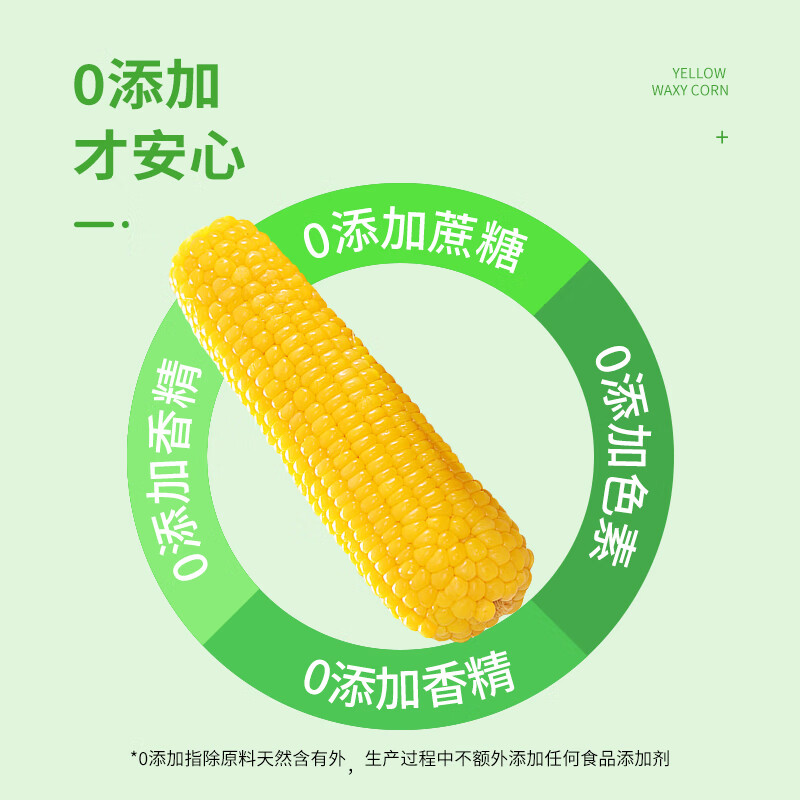 珍谷诱惑东北糯玉米 鲜食玉米 真空玉米棒  黑龙江鲜食苞米 原产地直发 黄糯玉米10支 2.4kg