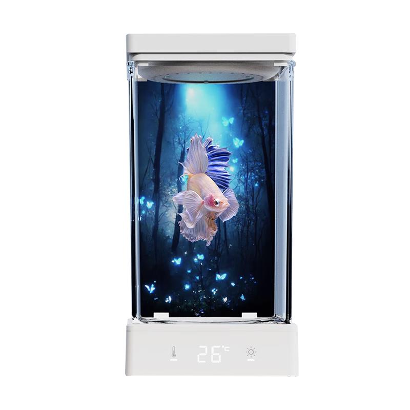 千潯水族方寸秘境泰國斗魚缸桌面迷你小魚缸生態(tài)自循環(huán)辦公桌家用創(chuàng)意造景 魚缸（標準款）+水晶石造景