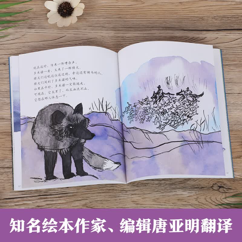 乐乐趣 儿屿-阿部弘士编绘版西顿动物故事 (全5册)点读版 儿童文学6-12岁小学生写作能力培养 桥梁书 经典儿童文学读物 性格品质培养 阿部弘士编绘版西顿动物故事(5册)