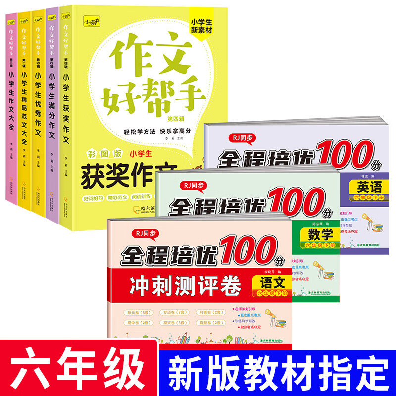 小学六年级下册试卷测试卷全套期末冲刺10